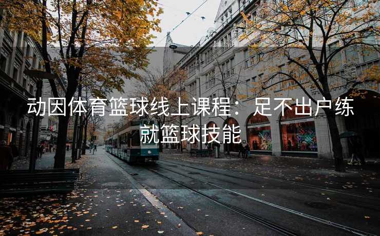 动因体育篮球线上课程：足不出户练就篮球技能