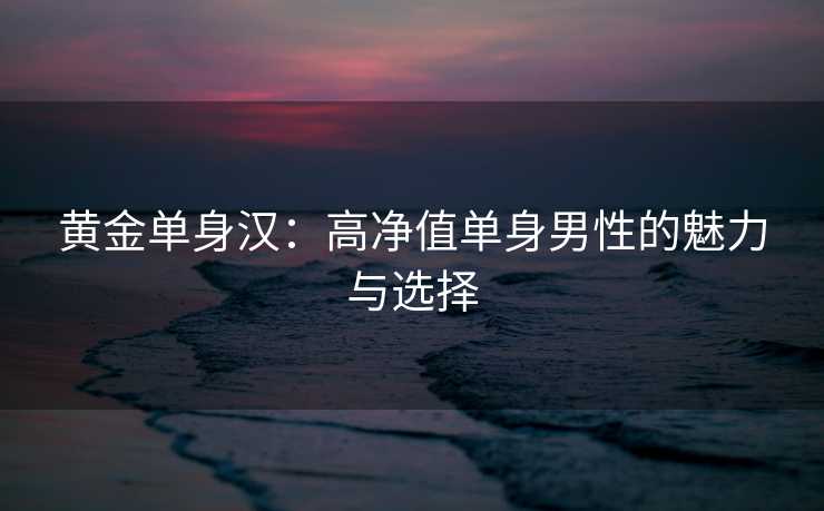 黄金单身汉：高净值单身男性的魅力与选择