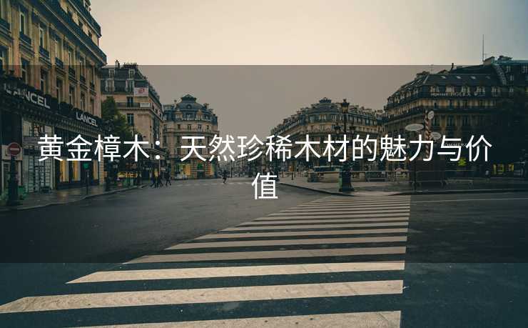黄金樟木：天然珍稀木材的魅力与价值