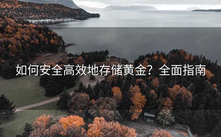 如何安全高效地存储黄金？全面指南