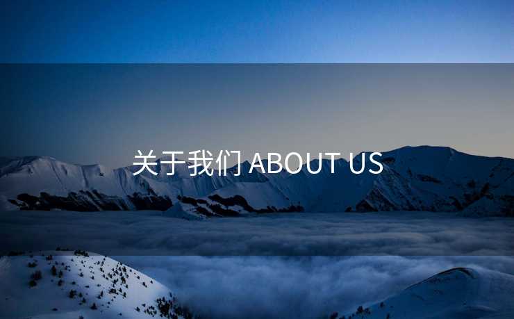 关于我们 ABOUT US 关于我们 ABOUT US