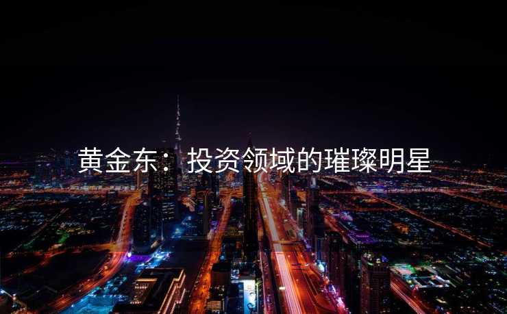 黄金东：投资领域的璀璨明星