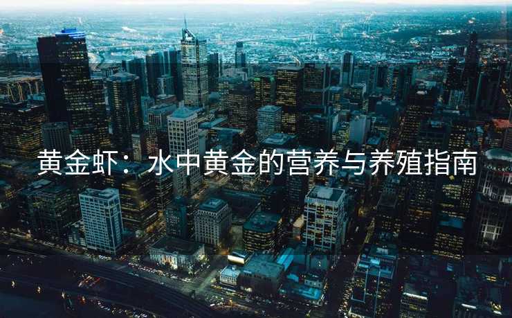 黄金虾：水中黄金的营养与养殖指南