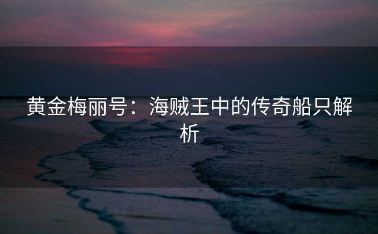 黄金梅丽号：海贼王中的传奇船只解析