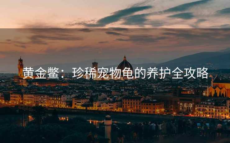 黄金鳖：珍稀宠物龟的养护全攻略