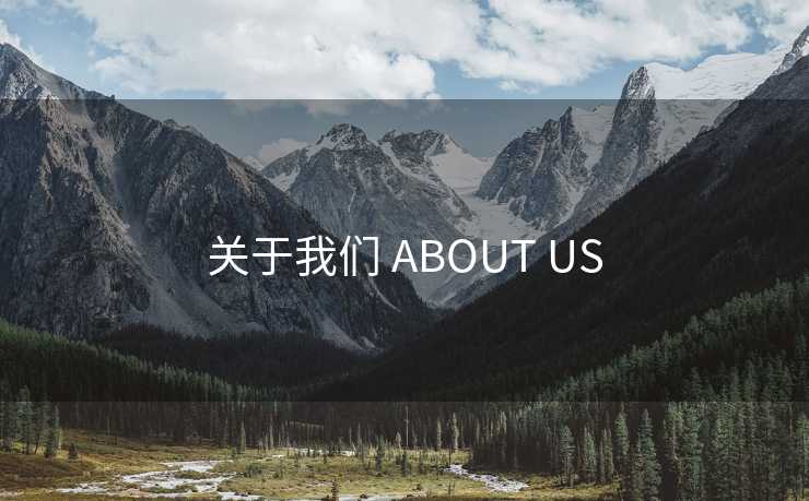 关于我们 ABOUT US 关于我们 ABOUT US