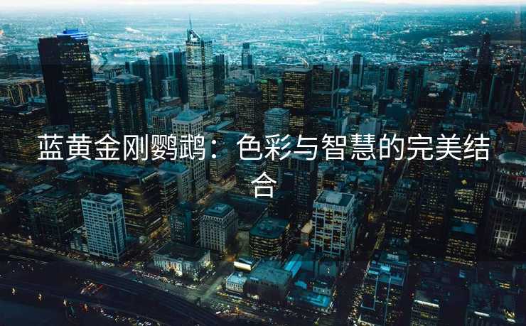 蓝黄金刚鹦鹉：色彩与智慧的完美结合