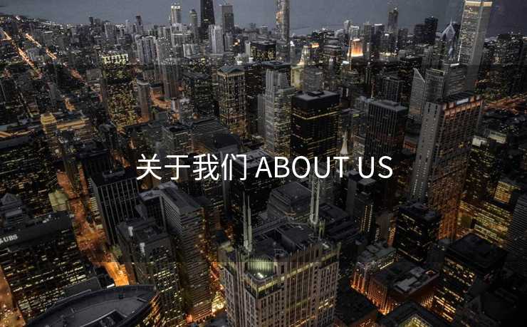 关于我们 ABOUT US 关于我们 ABOUT US