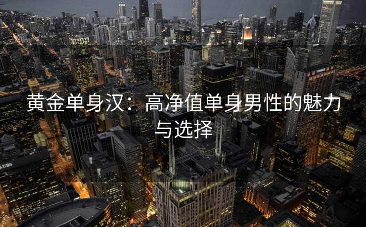 黄金单身汉：高净值单身男性的魅力与选择