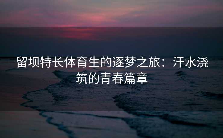 留坝特长体育生的逐梦之旅：汗水浇筑的青春篇章