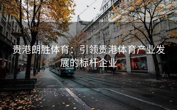贵港朗胜体育：引领贵港体育产业发展的标杆企业
